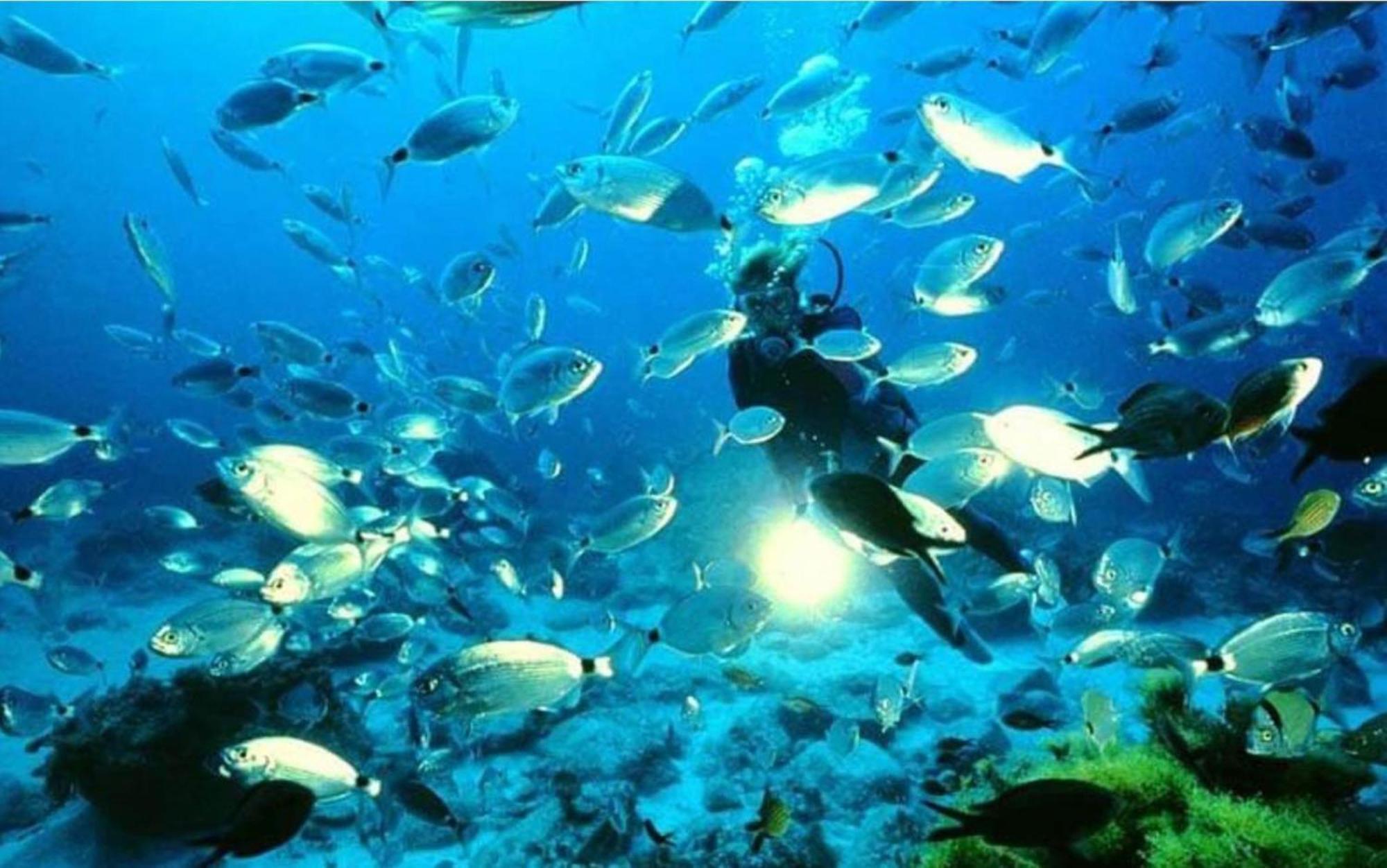 Estudio Jimena Carabeo En El Centro De Nerja Dış mekan fotoğraf